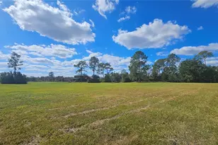 11650 Old Grade Rd, Polk City, FL 33868 - Photo 39