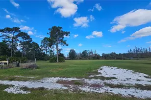 11650 Old Grade Rd, Polk City, FL 33868 - Photo 37