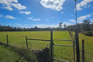 11650 Old Grade Rd, Polk City, FL 33868 - Photo 27