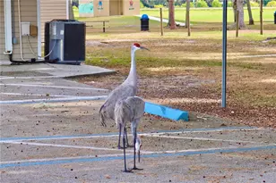 6930 Parkwood St, Sebring, FL 33876 - Photo 49