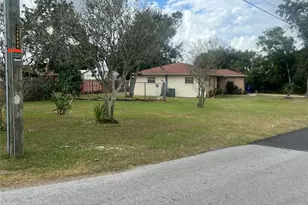 202 S Bingham St, Eagle Lake, FL 33839 - Photo 3