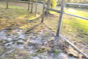 2640 Ranchland Acres Rd, Lakeland, FL 33809 - Photo 35