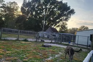 2640 Ranchland Acres Rd, Lakeland, FL 33809 - Photo 25