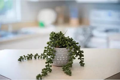 2960 Kokomo Loop, Haines City, FL 33844 - Photo 15