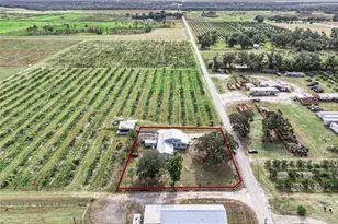 1115 Keller Rd, Fort Meade, FL 33841 - Photo 39