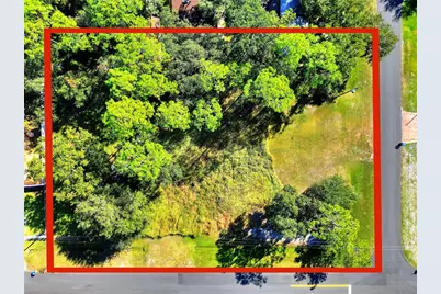 0 Intercession City, Intercession City, FL 33848 - Photo 3