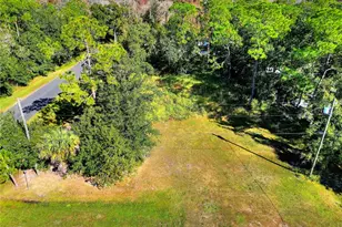 0 Intercession City, Intercession City, FL 33848 - Photo 1