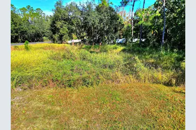 0 Intercession City, Intercession City, FL 33848 - Photo 13