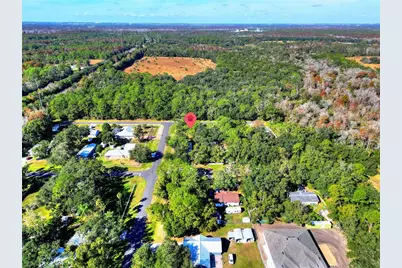 0 Intercession City, Intercession City, FL 33848 - Photo 11