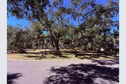 1204 Davies Road, Brandon, FL 33511 - Photo 3