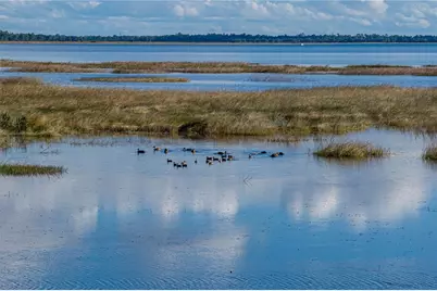 344 Sunshine Drive, Lake Wales, FL 33859 - Photo 79