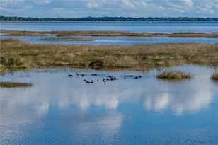 344 Sunshine Dr, Lake Wales, FL 33859 - Photo 79