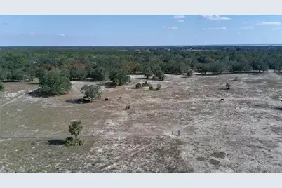 4547 Glenn Saint Mary Road, Lake Wales, FL 33898 - Photo 33