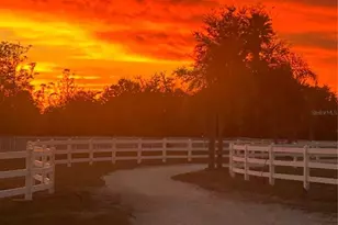 664 S Lake Starr Blvd, Lake Wales, FL 33898 - Photo 91