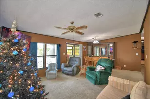 1813 Pauline Dr, Lake Alfred, FL 33850 - Photo 13