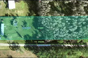 9115 Pine Tree Dr, Lakeland, FL 33809 - Photo 7