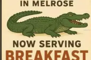 25327 NE State Rd 26, Melrose, FL 32666 - Photo 53