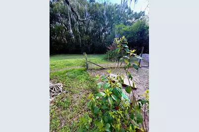 25327 NE State Road 26, Melrose, FL 32666 - Photo 19