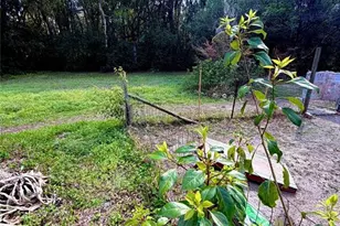 25327 NE State Rd 26, Melrose, FL 32666 - Photo 19