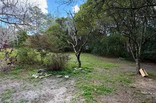 25327 NE State Rd 26, Melrose, FL 32666 - Photo 5