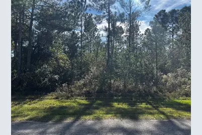 207 Gardenia Drive, Lake Wales, FL 33855 - Photo 1