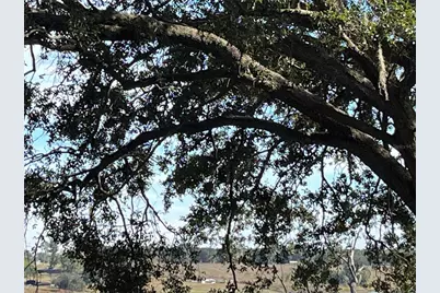 0 Central Avenue, Bartow, FL 33830 - Photo 7