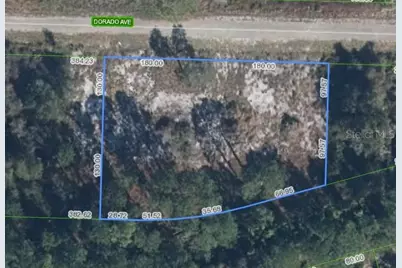 3348 Dorado Avenue, Lake Placid, FL 33852 - Photo 1