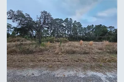 3348 Dorado Avenue, Lake Placid, FL 33852 - Photo 7