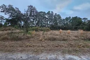 3348 Dorado Ave, Lake Placid, FL 33852 - Photo 7