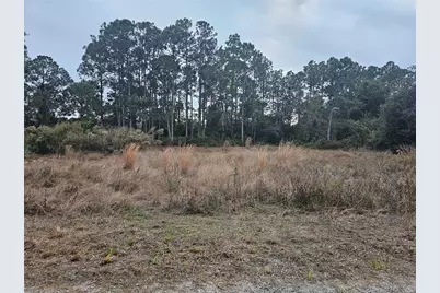 3348 Dorado Avenue, Lake Placid, FL 33852 - Photo 5