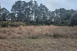 3348 Dorado Ave, Lake Placid, FL 33852 - Photo 5