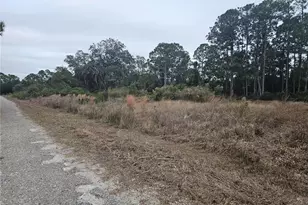 3348 Dorado Ave, Lake Placid, FL 33852 - Photo 3