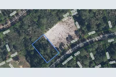 3129 Locust Avenue, Lake Placid, FL 33852 - Photo 3