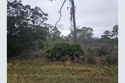 3129 Locust Avenue, Lake Placid, FL 33852 - Photo 7