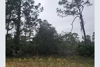 3129 Locust Avenue, Lake Placid, FL 33852 - Photo 5