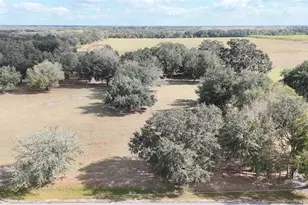 7053 George Marsh Rd, Zolfo Springs, FL 33890 - Photo 67