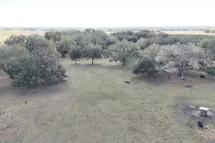 7053 George Marsh Rd, Zolfo Springs, FL 33890 - Photo 9