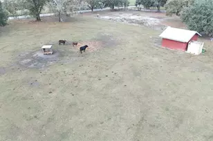 7053 George Marsh Rd, Zolfo Springs, FL 33890 - Photo 81