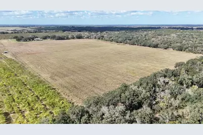 7053 George Marsh Road, Zolfo Springs, FL 33890 - Photo 61