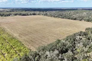 7053 George Marsh Rd, Zolfo Springs, FL 33890 - Photo 61