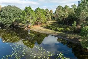 7970 Bannon Fish Camp Rd, Haines City, FL 33844 - Photo 37