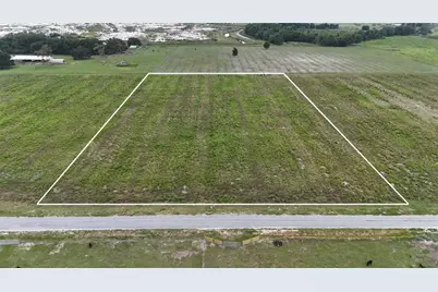 0 Rhynn Road, Wauchula, FL 33873 - Photo 1