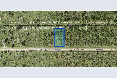 1022 Calliandra Drive, Indian Lake Estates, FL 33855 - Photo 3