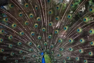 7970 Bannon Fish Camp Rd, Haines City, FL 33844 - Photo 17