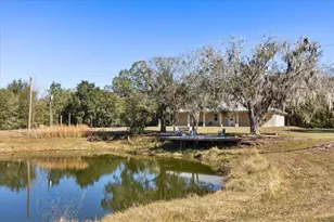 3865 Rabbit Run Rd, Wauchula, FL 33873 - Photo 31