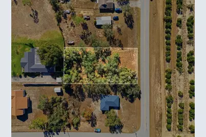 1830 Golfview Cutoff Road, Babson Park, FL 33827 - Photo 5