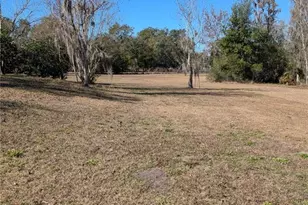 10932 Pathfinder Trail, Lakeland, FL 33809 - Photo 3