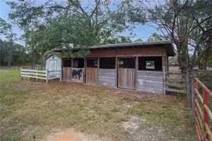 6140 Skokie Rd, Lake Wales, FL 33898 - Photo 37