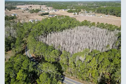 Green Pond Road, Polk City, FL 33868 - Photo 5