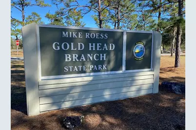 7260 Woodstock Street, Keystone Heights, FL 32656 - Photo 39